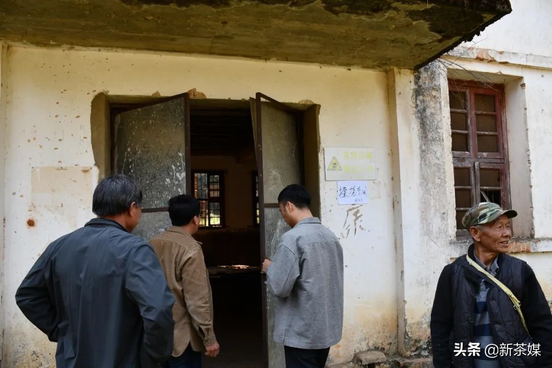 南糯山茶叶的故事,南糯山茶厂视频