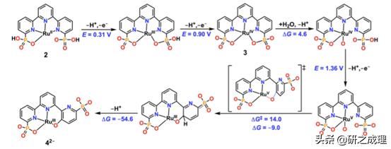 鍌寲蹇姤鏈熷垔,鍌寲鏉傚織灏侀潰