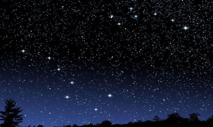 在野外迷路了可以用大树辨别方向,野外迷路怎么辨别方向