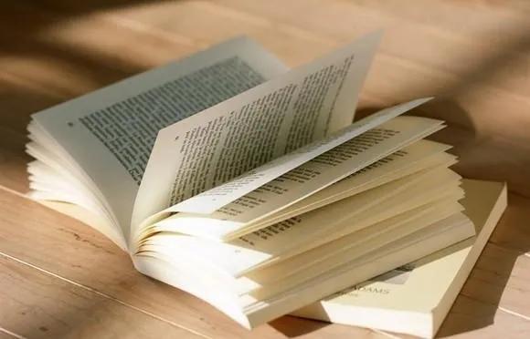 行走在书中的猫,行走在书中作文