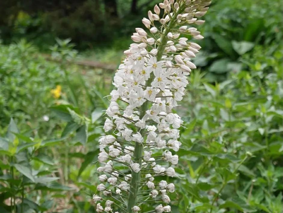 熟背高中英语单词必背3500词,高中三年必背英语单词3500