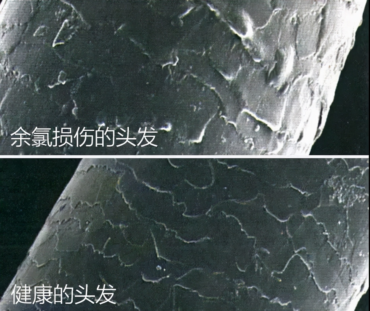 买大几千的护肤品不如一瓶虾青素,重金买精华有用吗