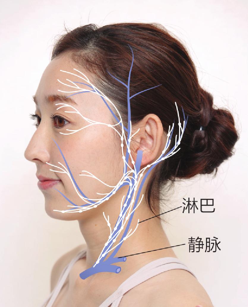 宁静按摩脸部手法的小视频,宁静按摩脸部去除法令纹视频