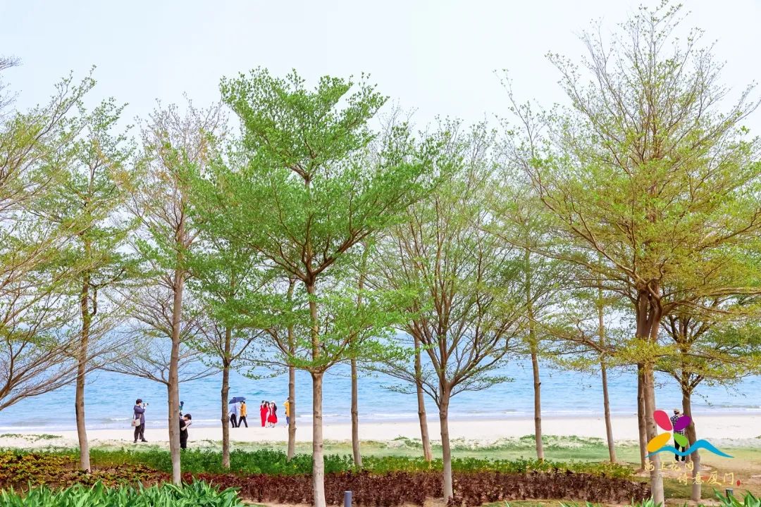 厦门清明旅游应该什么时候订酒店,厦门清明节出游攻略