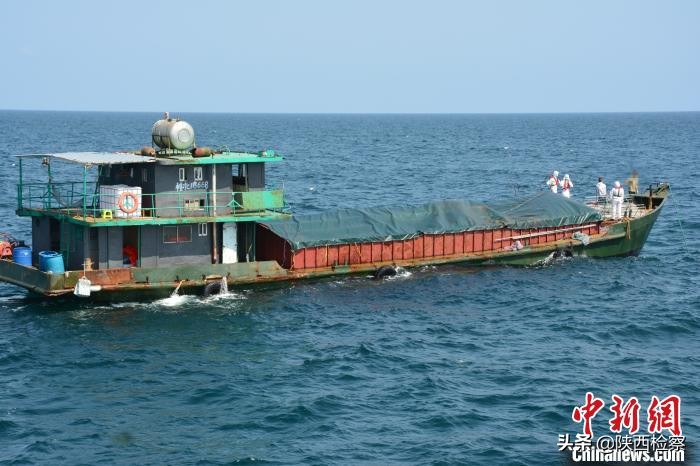 最近广西海警抓走私案,广西海警查获一起涉嫌走私案