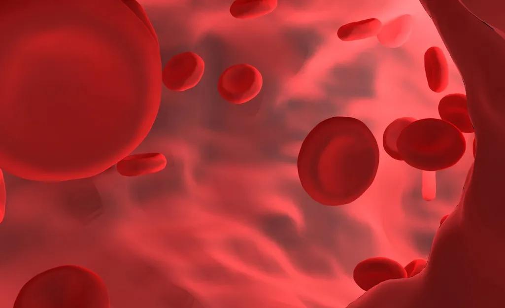 做完tips支架手术复查用不用住院,心脏支架后多长时间做一次cta复查