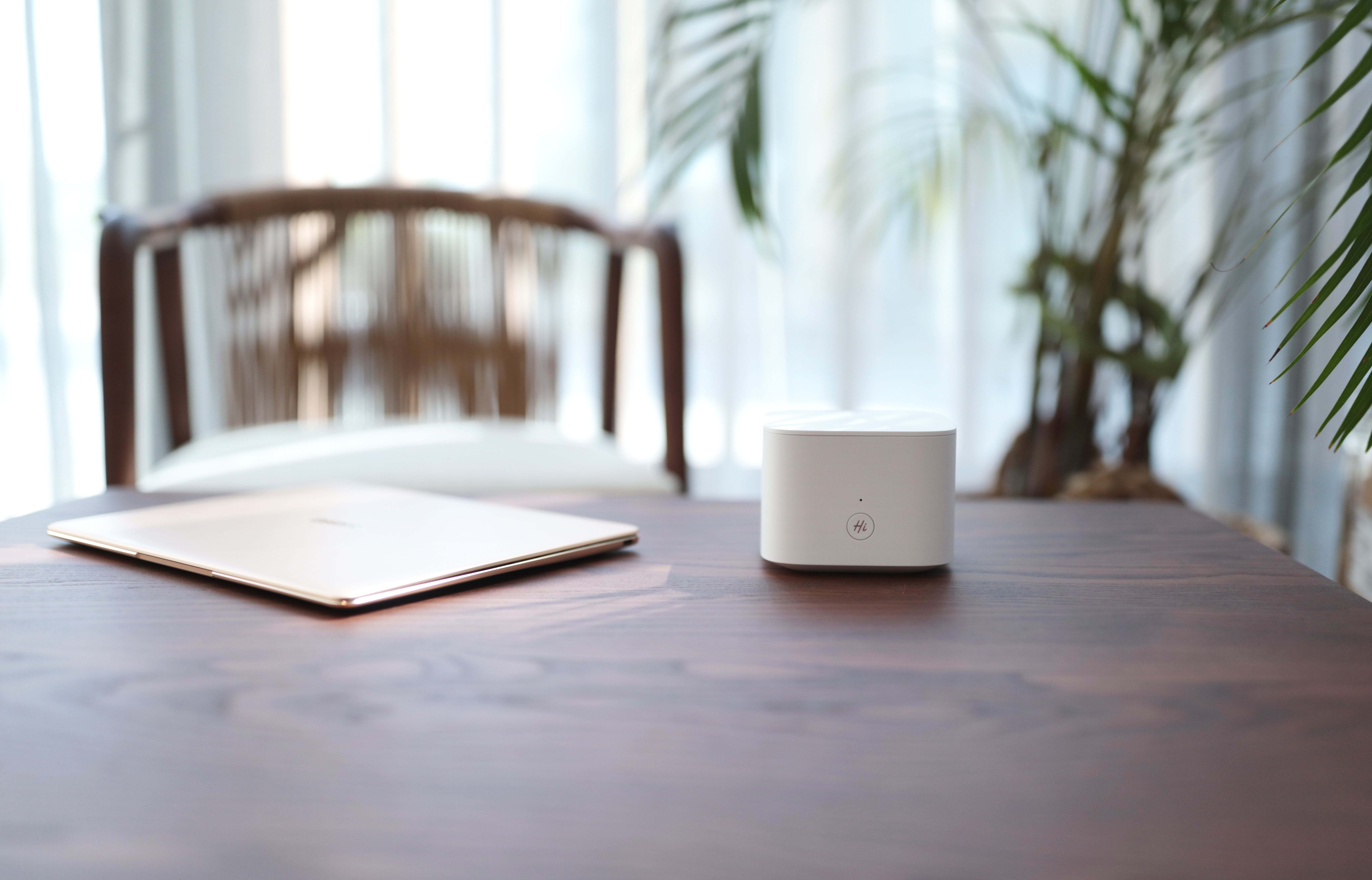 路由器及设备看不懂,路由器买来不知道密码怎么办