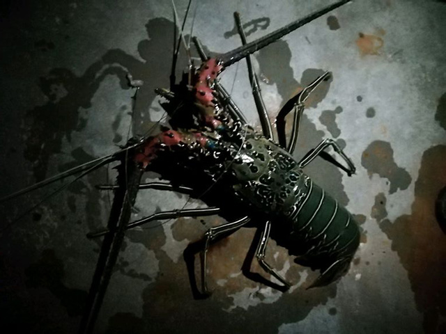 当你钓不到鱼的时候,当你钓不到鱼