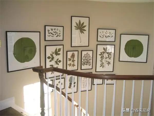 植物标本如何做简单又好看,植物能做什么手工