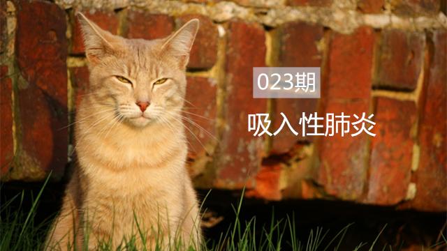 宠物科普知识大全素材,宠物吸入性肺炎治疗