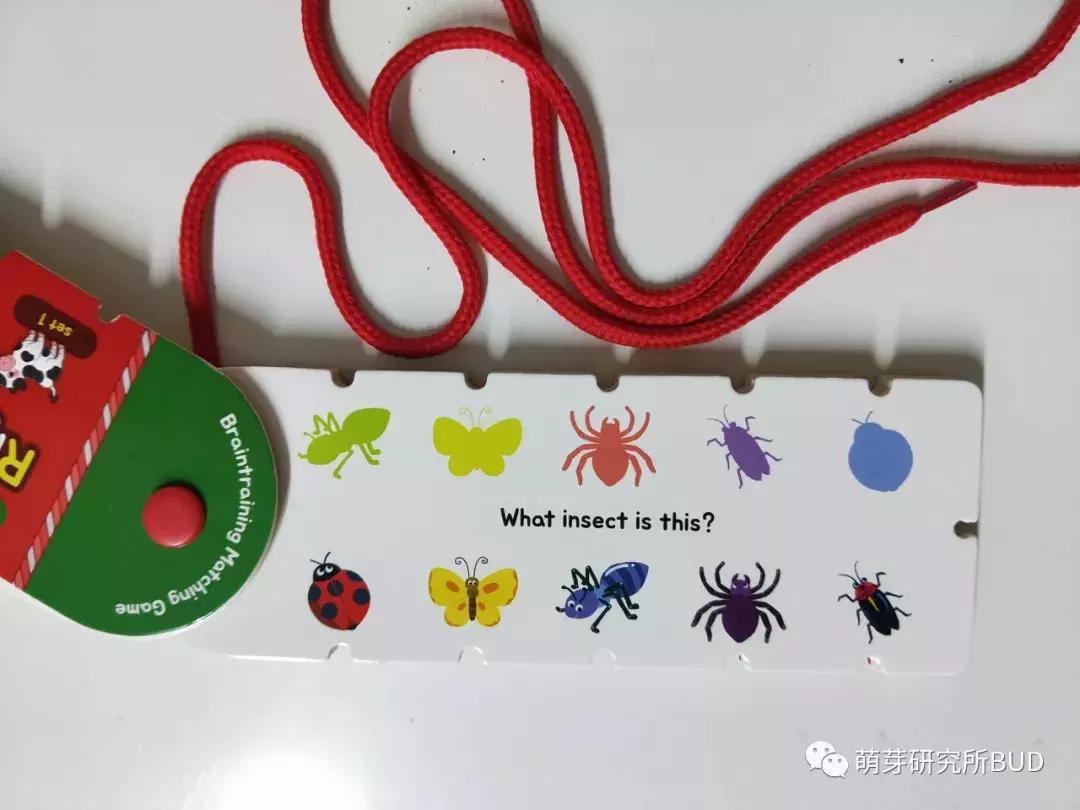 50个儿童创意绳子,100个儿童创意绳子