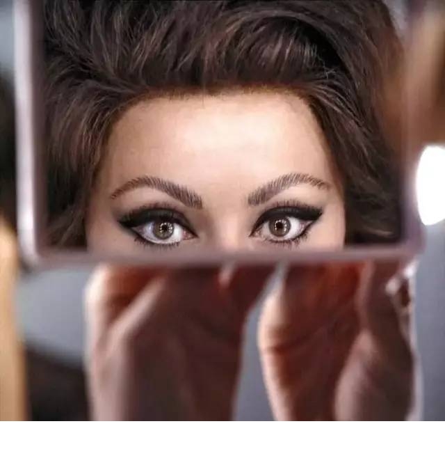 索菲亚罗兰女性特征,索菲亚罗兰年轻时的样子