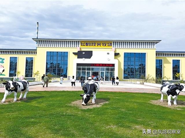 国产名牌奶粉现状,现今的国产奶粉现状