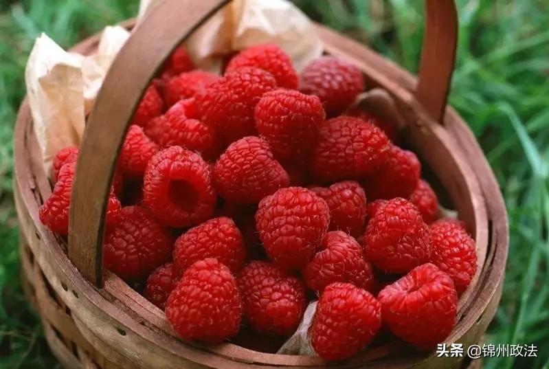 沈阳有什么特色农产品,辽宁省14个市县特产农产品