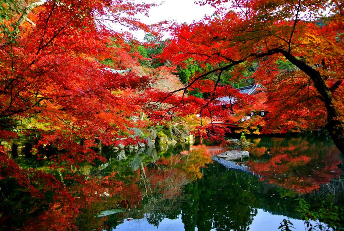 日本首都是京都还是东京,日本的首都是东京