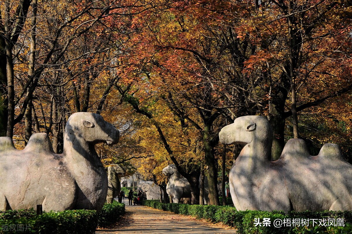 中华民国定都，首轮28票中20票选北京：孙中山力主南京的背后隐情