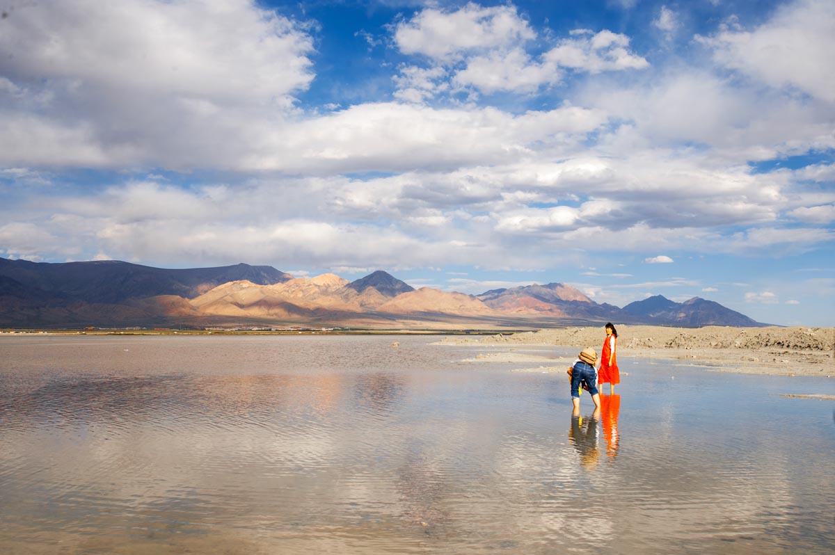 我的旅行日记之青海,我的旅行日记高原茶场
