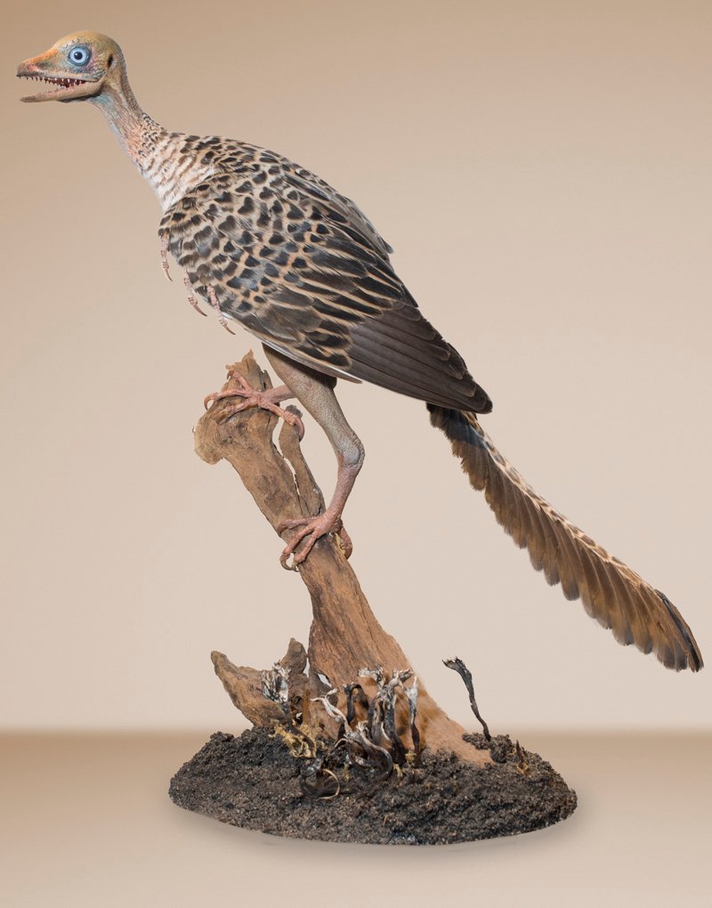 远古海洋10大恐龙霸主,远古时期世界上最大的恐龙