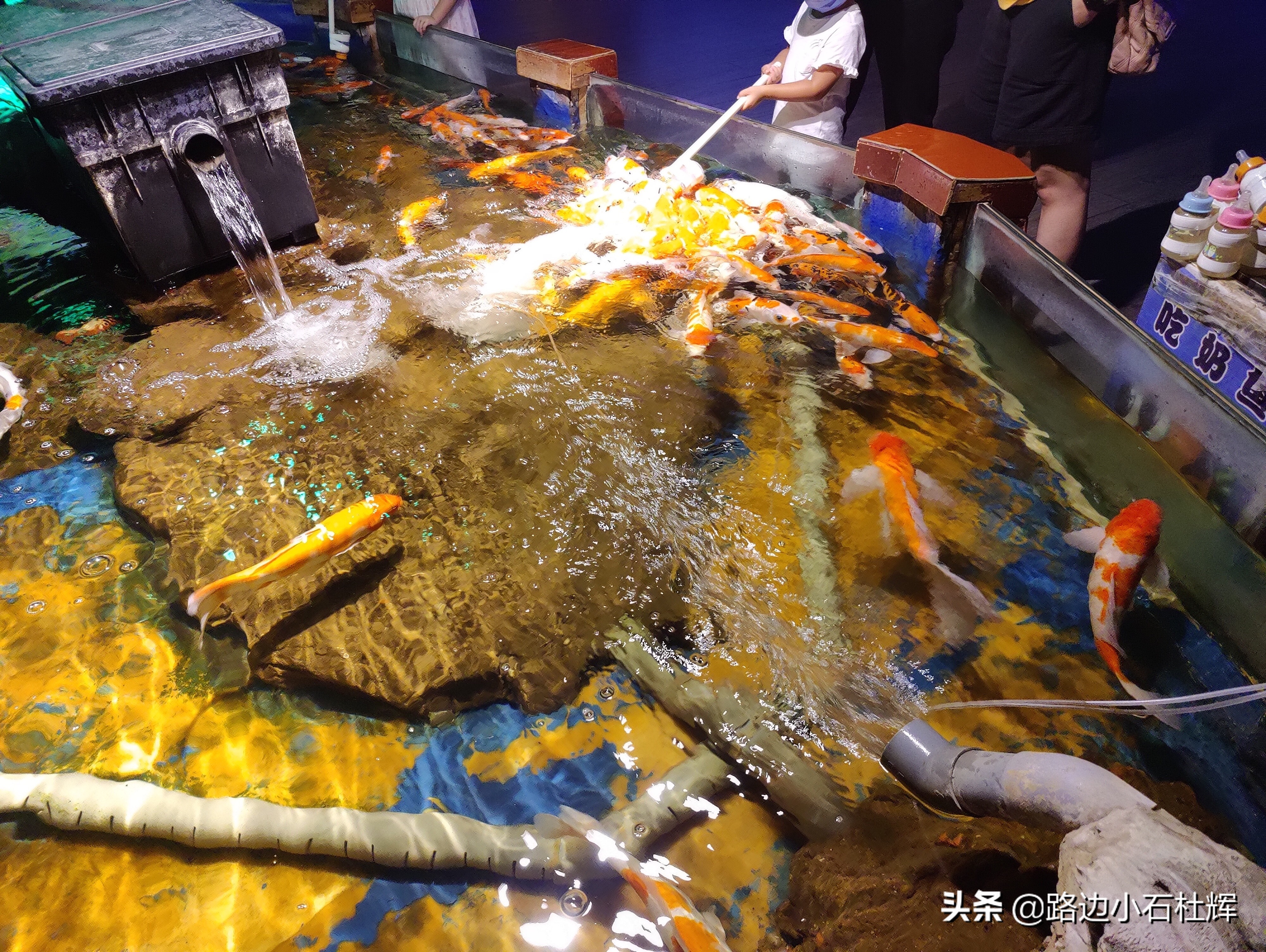 北京海洋馆海底世界游玩攻略,海洋馆北京海底世界游玩路线