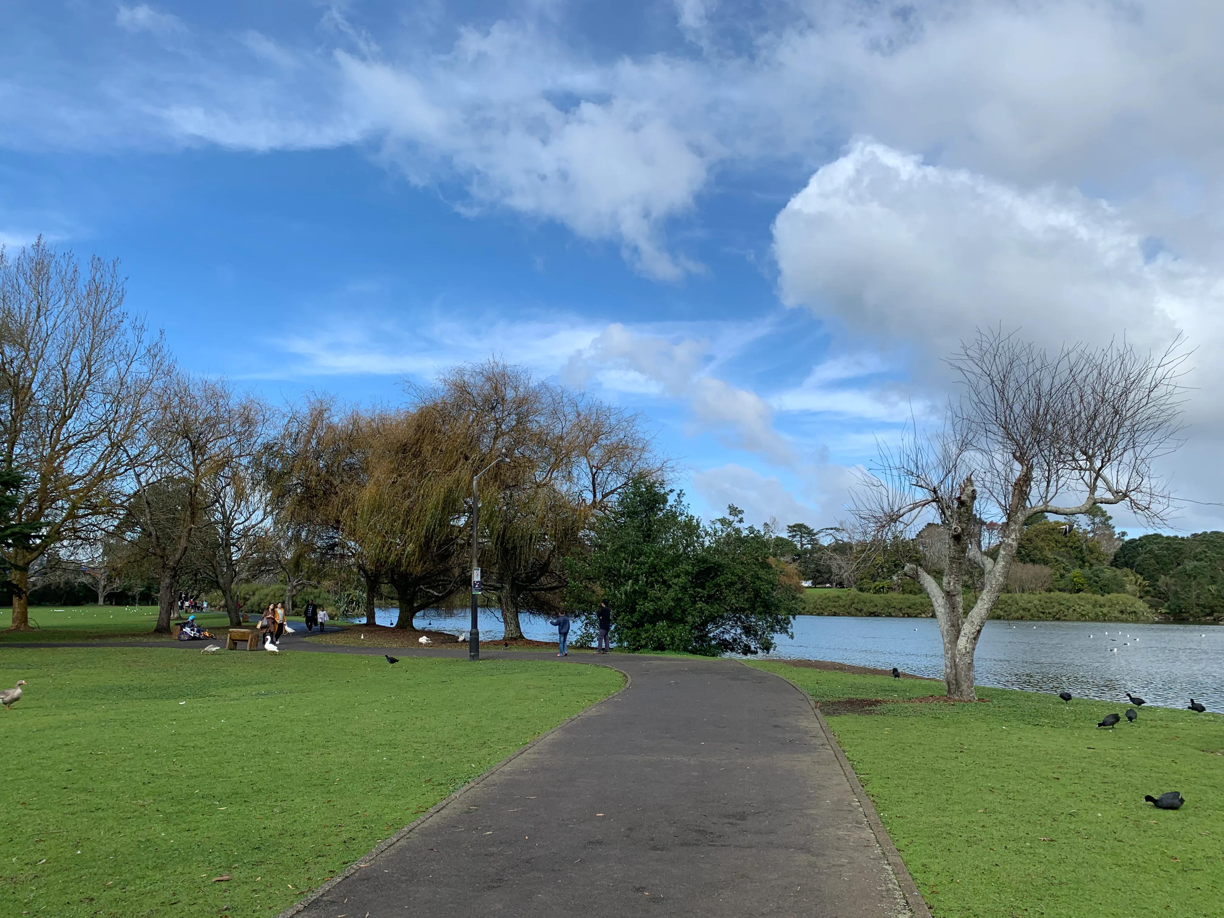 在新西兰上班是什么感觉 (新西兰生活工作怎么样)