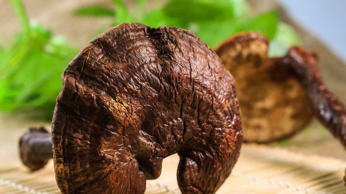 <html>
<head><title>502BadGateway</title></head>
<body>
<center><h1>502BadGateway</h1></center>
<hr><center>nginx</center>
</body>
</html>
<!--apaddingtodisableMSIEandChromefriendlyerrorpage-->
<!--apaddingtodisableMSIEandChromefriendlyerrorpage-->
<!--apaddingtodisableMSIEandChromefriendlyerrorpage-->
<!--apaddingtodisableMSIEandChromefriendlyerrorpage-->
<!--apaddingtodisableMSIEandChromefriendlyerrorpage-->
<!--apaddingtodisableMSIEandChromefriendlyerrorpage-->
