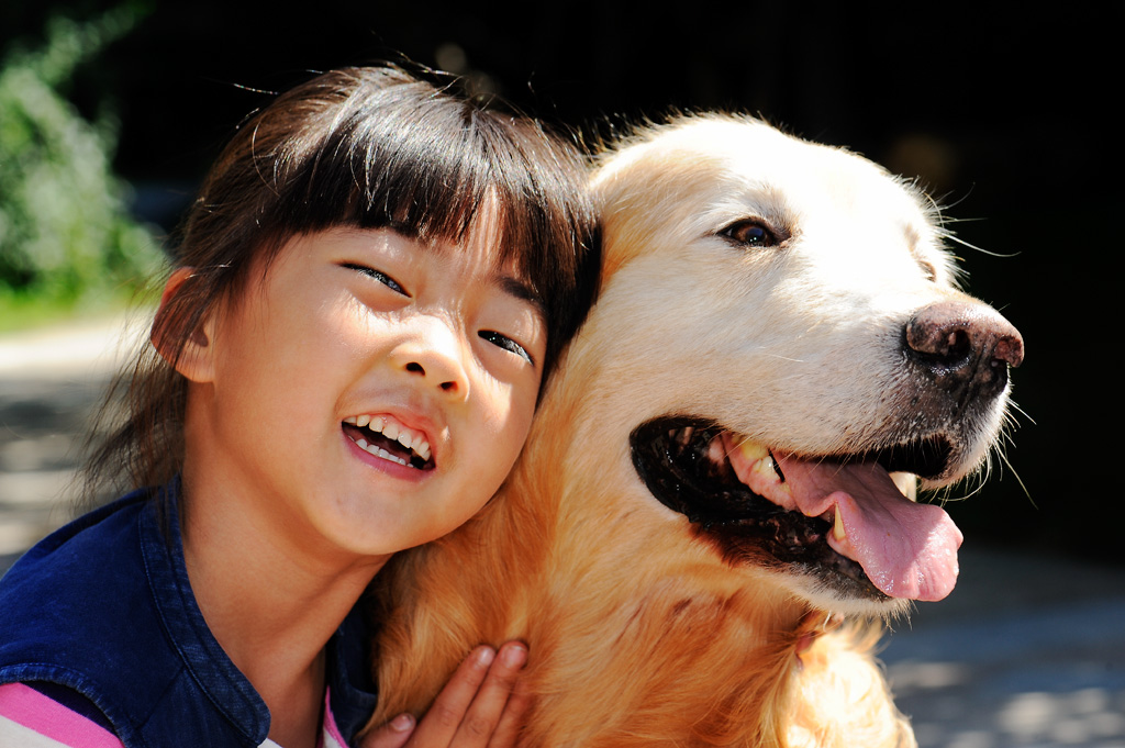 宠物狗吐该怎么办,萌宠知识普及答案