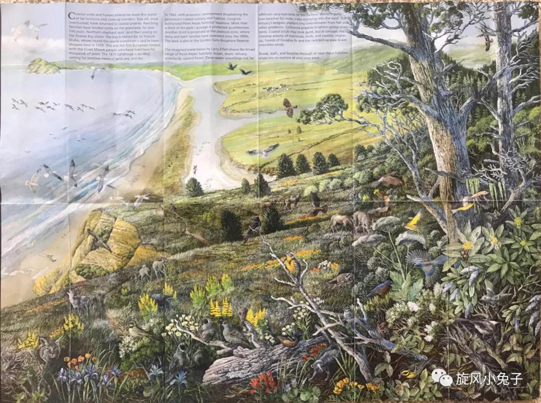 加州沿海1号公路,加州沿海一号公路一日游推荐