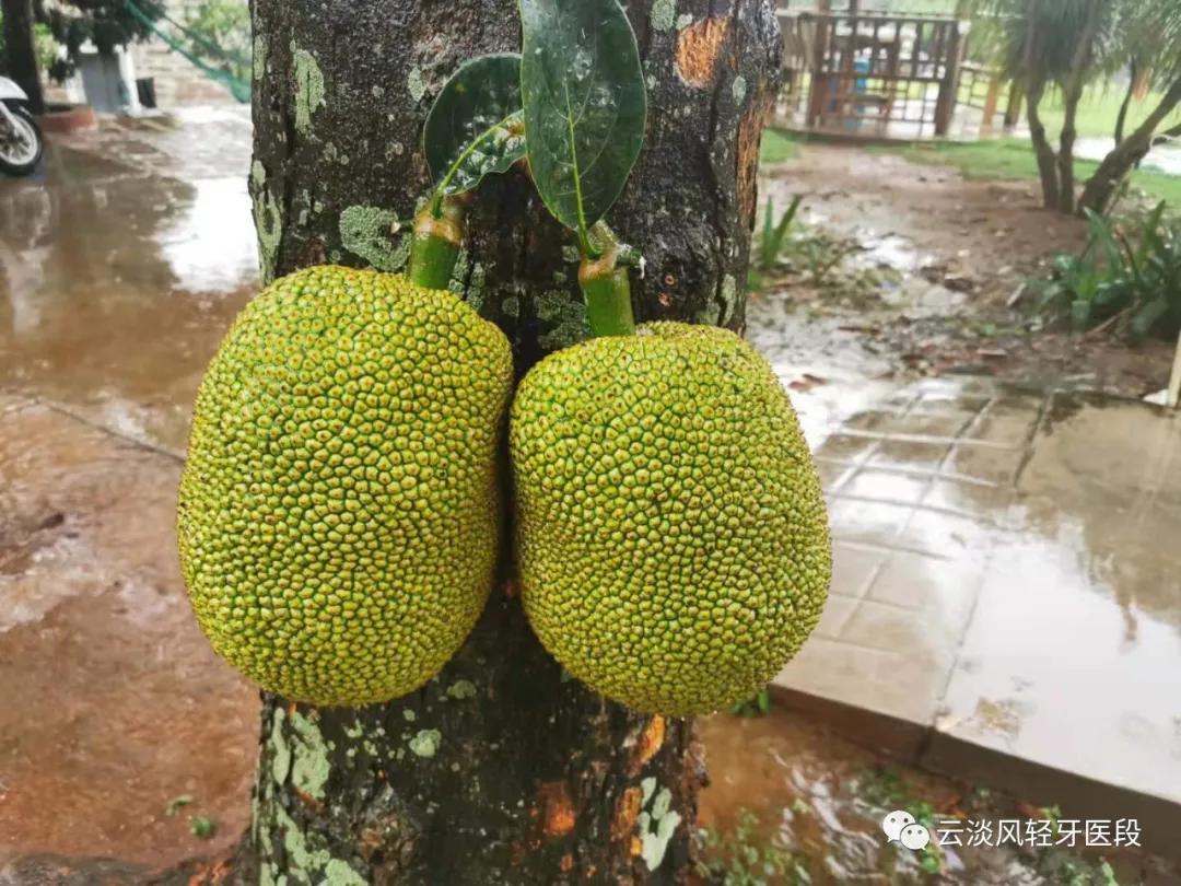 五一的北海涠洲岛,北海涠洲岛三天两夜旅游攻略