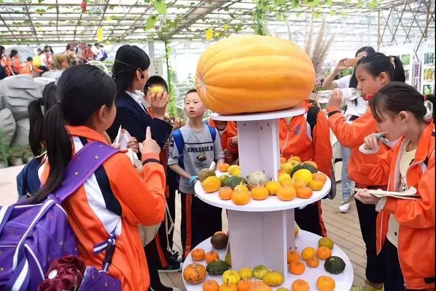 一泡而红！四川这座小城已火向全球，今天万人齐聚！