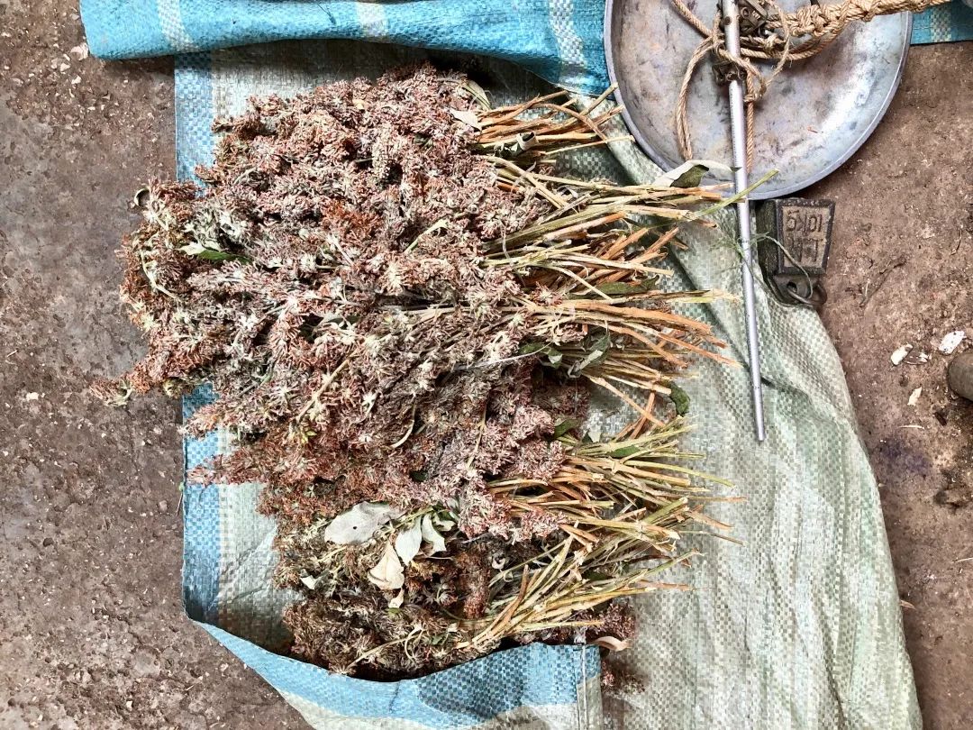 云南人最认同的本地食材,外省人来云南没有见过的菜