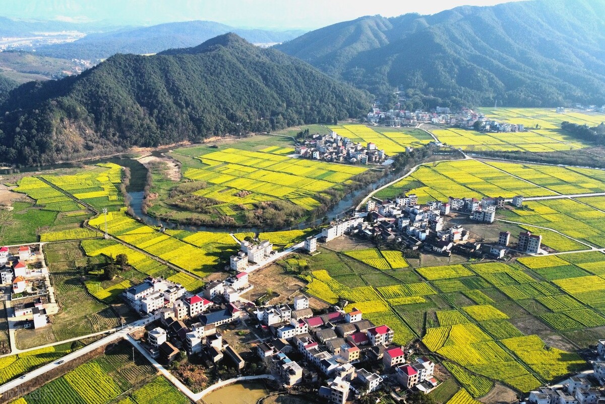 永新特产酱姜怎么样吃,江西永新美食特产