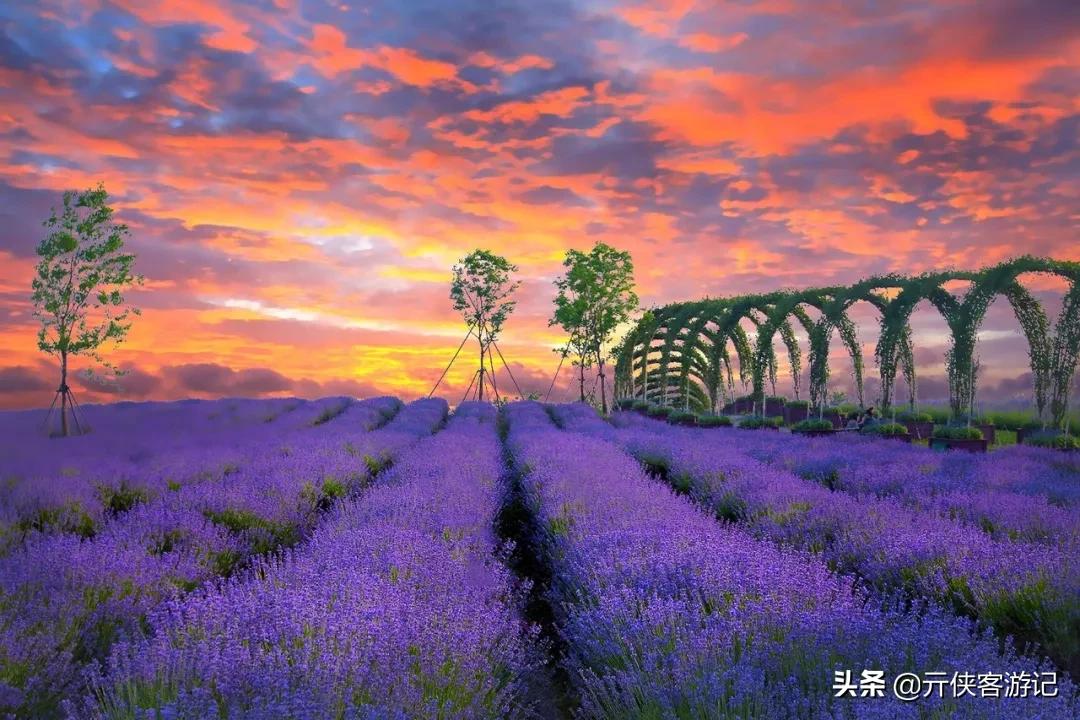 上海是一座什么样的城市文案,上海包容性有多强