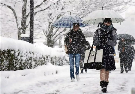 要风度不要温度冷到哆嗦街拍,要风度也要温度穿搭
