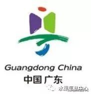 水果天堂,水果天堂图片大全