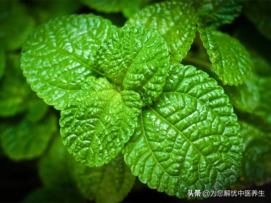 更年期女士养生汤,更年期能用温经汤吗