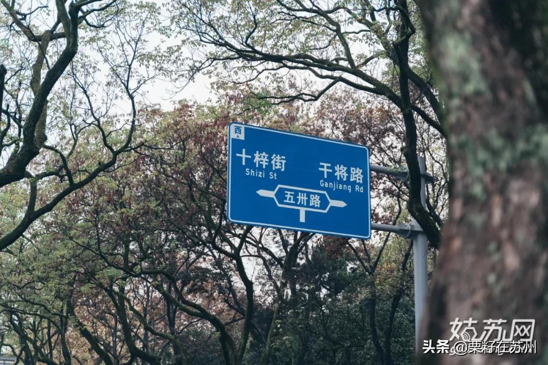 苏州有一条南京路,苏州古城区步行路线