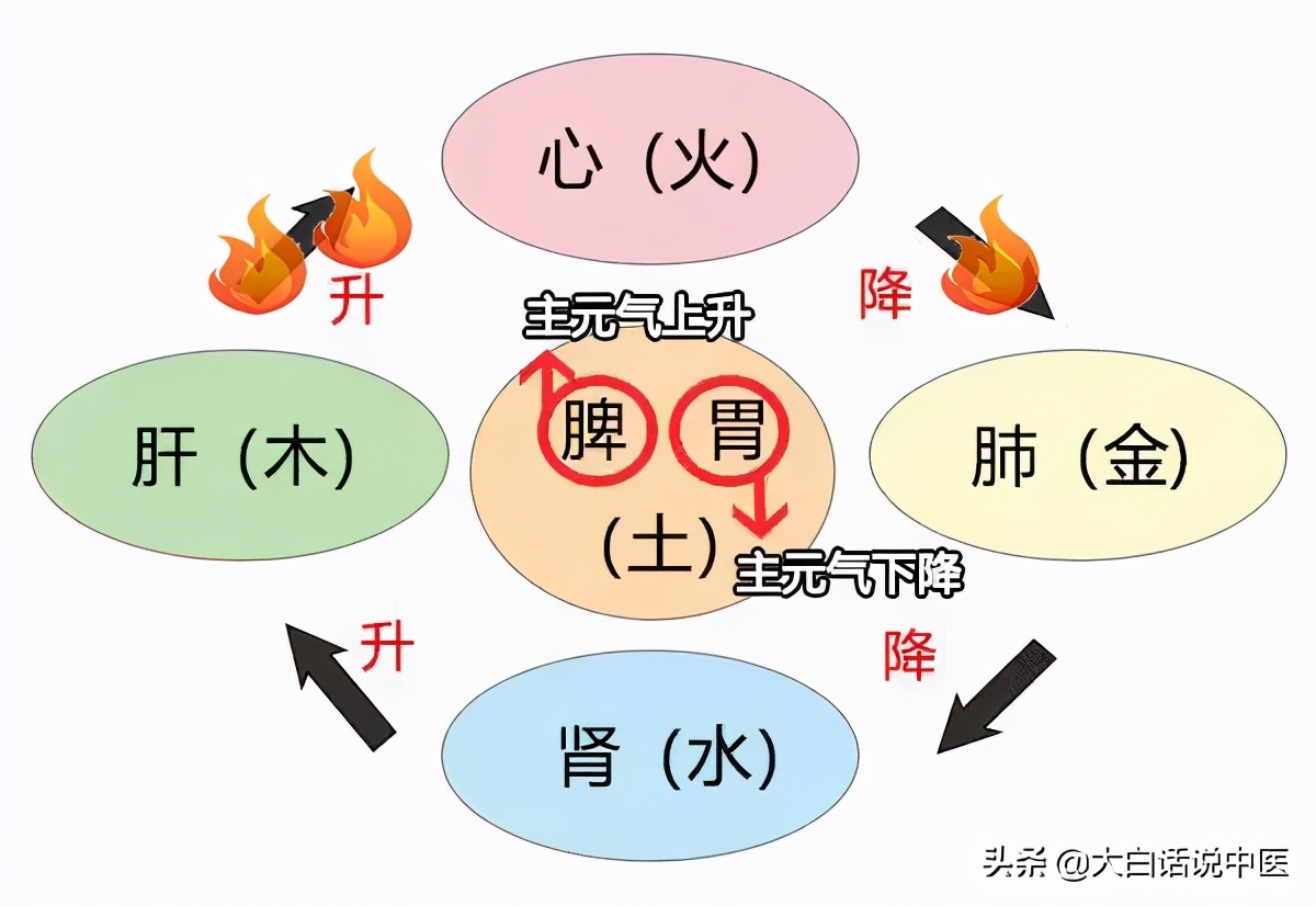 大白话说中医第七十九集,大白话说中医第十九期