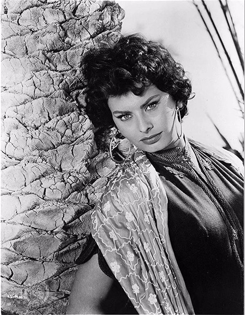 一位传奇摄影师的杰作,好莱坞著名女摄影师