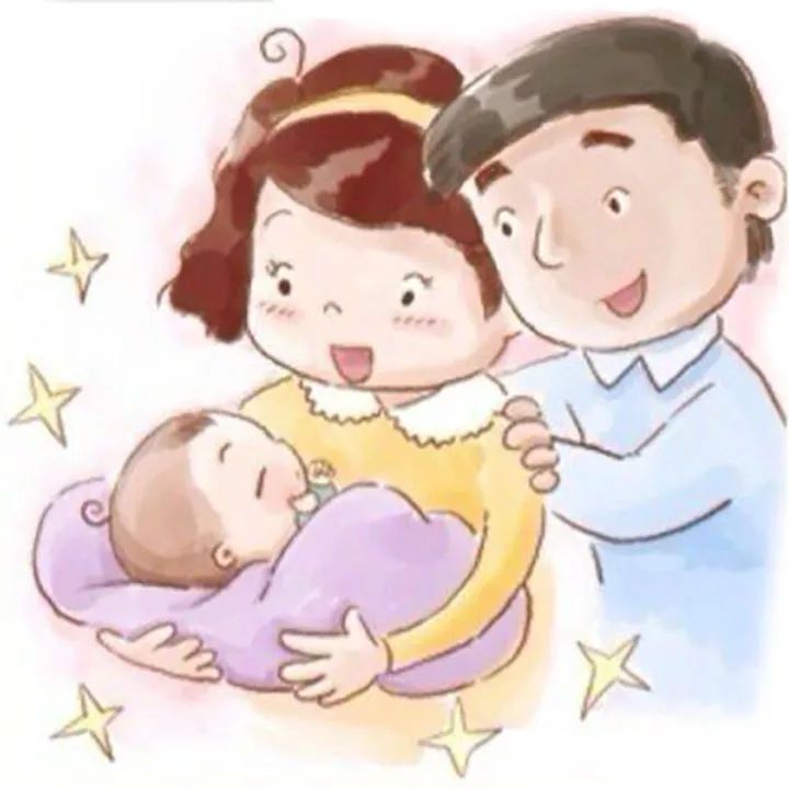 小鸭宝宝生长全过程,五只鸭子宝宝