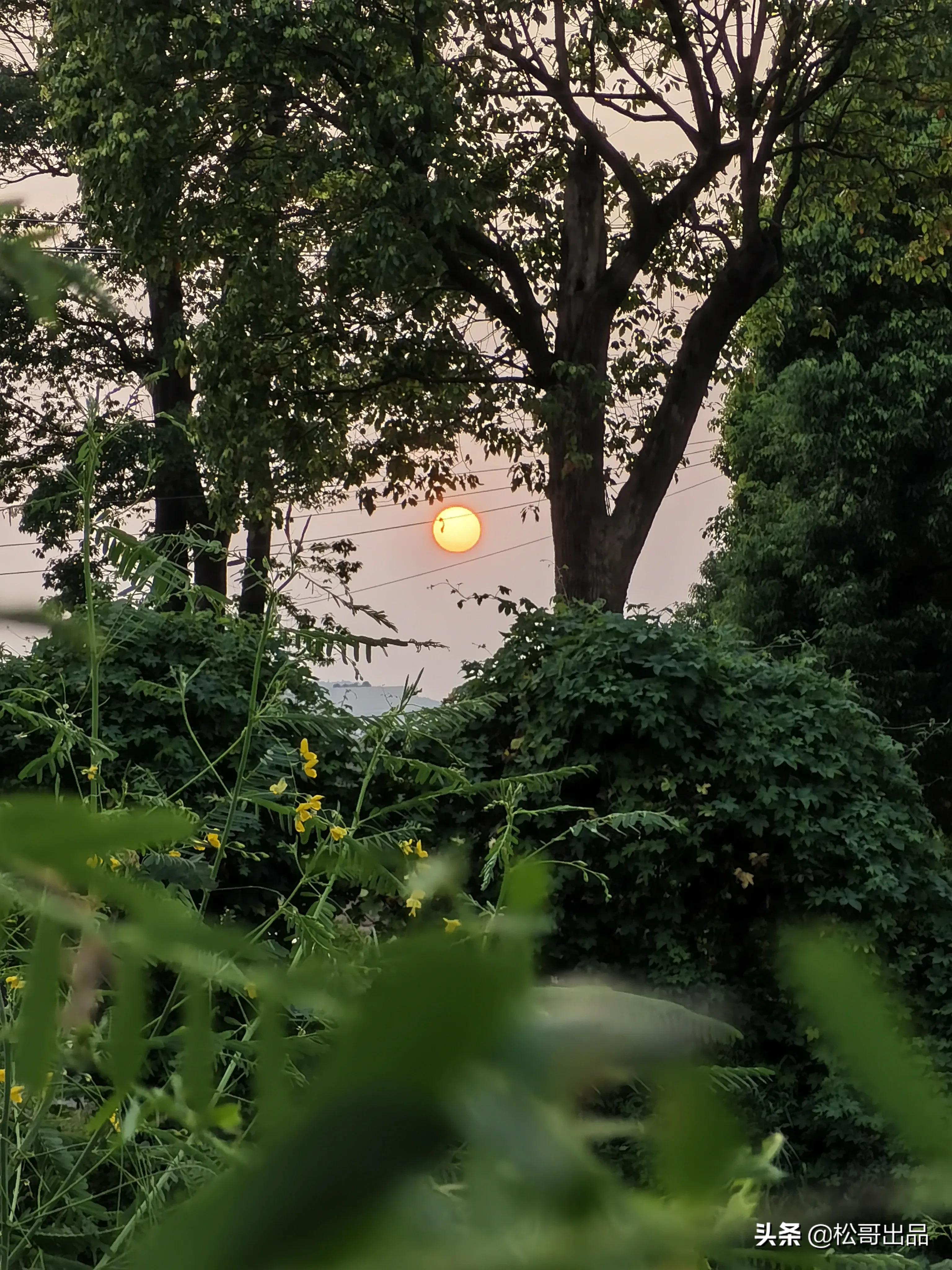 农家田园共享菜园,田园生活乐趣多上海菜园