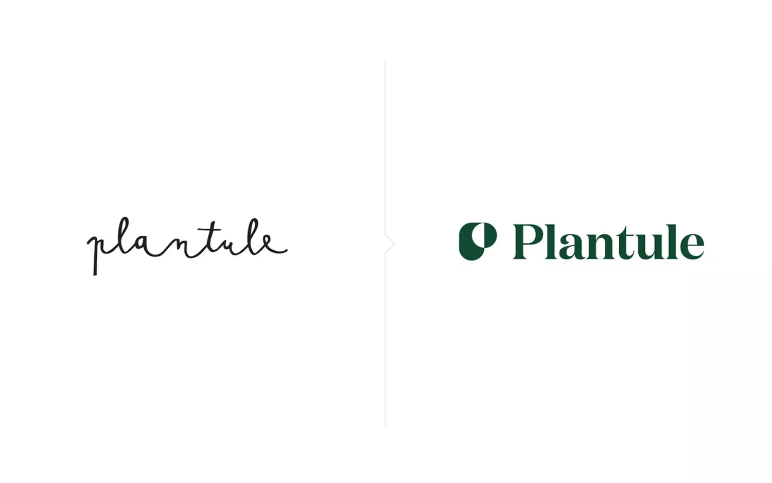 PlantulePillows家居品牌设计via:DmowskiCo.