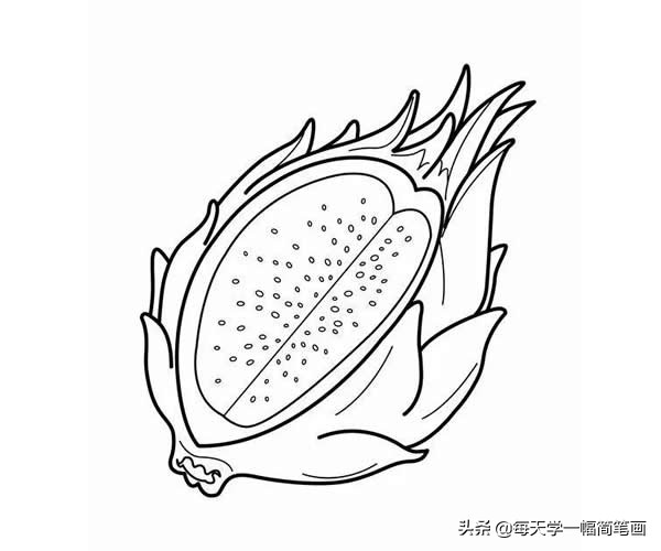 超简单水果简笔画初学者零基础,秋天成熟的水果有哪些简笔画