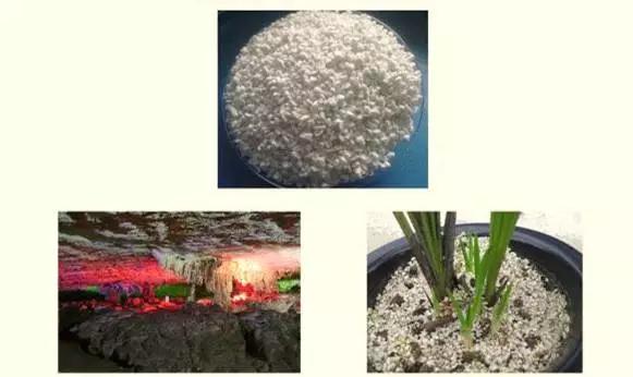 教你打造一米菜园,自家菜园教程新手入门