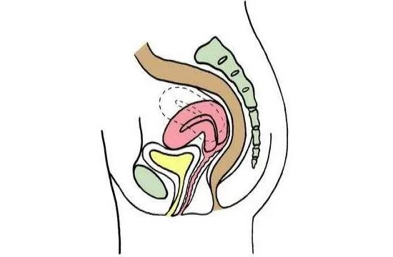 子宫的故事绘本,子宫里的故事生命诞生的奥妙