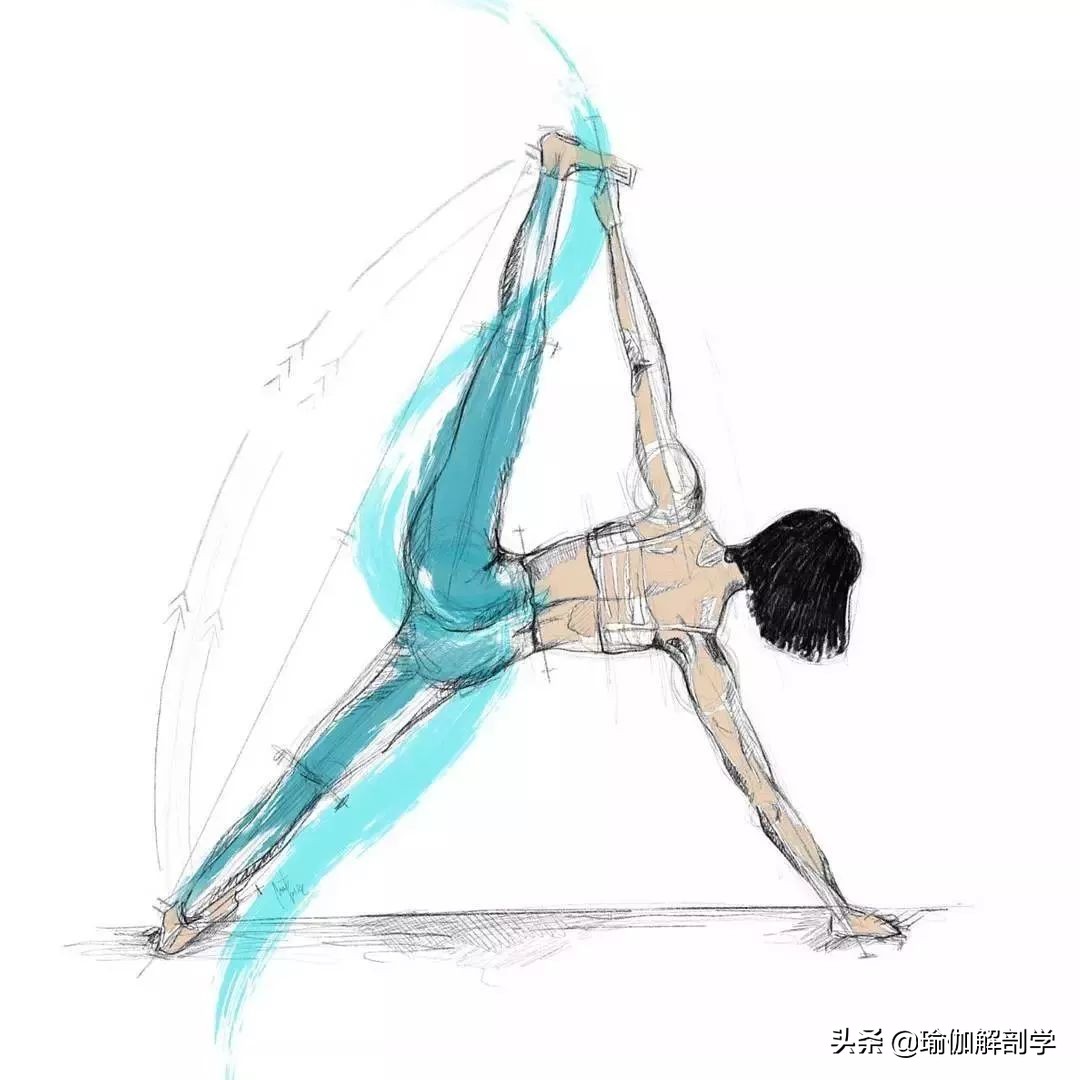 瑜伽人，该有的10种习惯，你有吗？