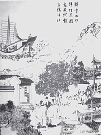 男子捡了个龟壳,大乌龟壳里有夜明珠