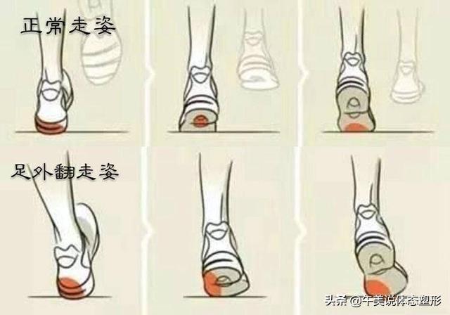 周冬雨减腿秘诀,周冬雨的腿怎么变直的方法