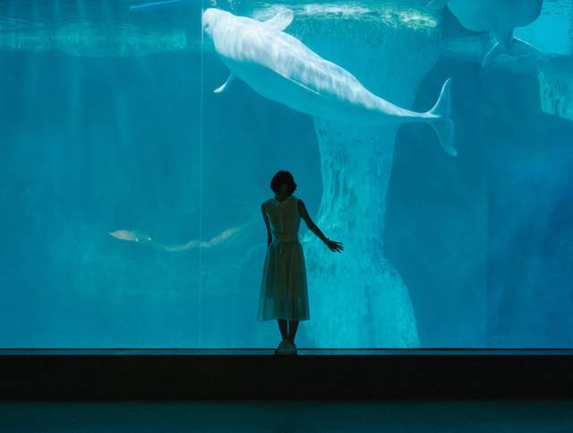 武汉11月打卡景点和网红地,武汉50个值得打卡的地方