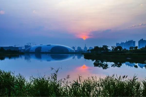 是什么让越来越多的年轻人爱上津南,留在津南!