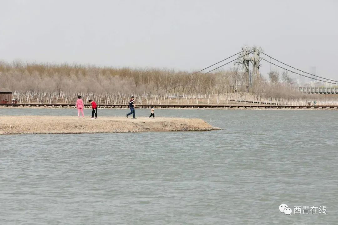 天津即将完工的公园,天津新开放的公园